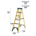 Werner Fibreglass Swingback Step Ladder 6 Tread
